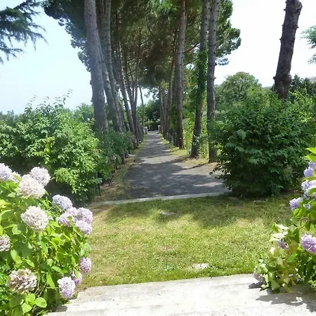 Dell'artemisio * Velletri