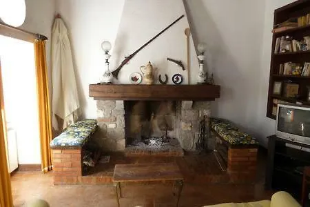 Dell'artemisio Willa *